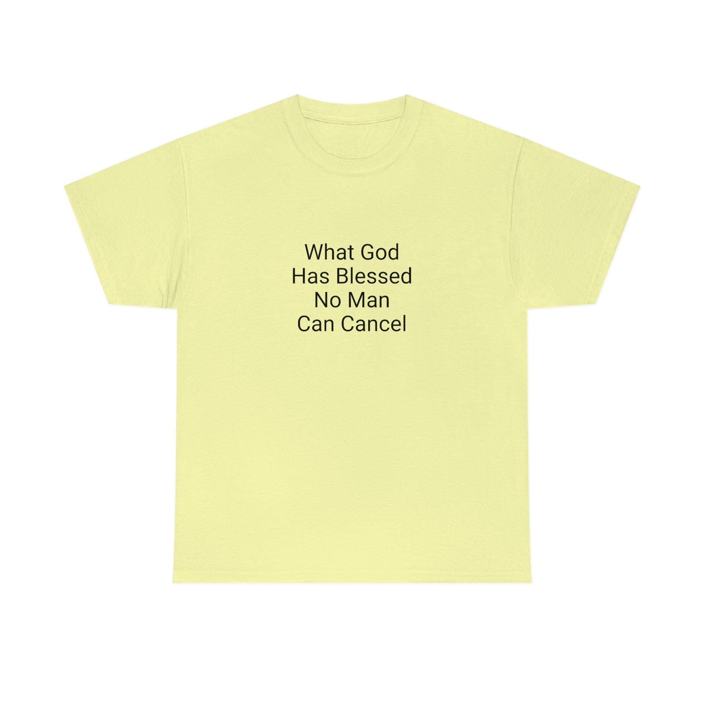 Unisex Heavy Cotton Tee