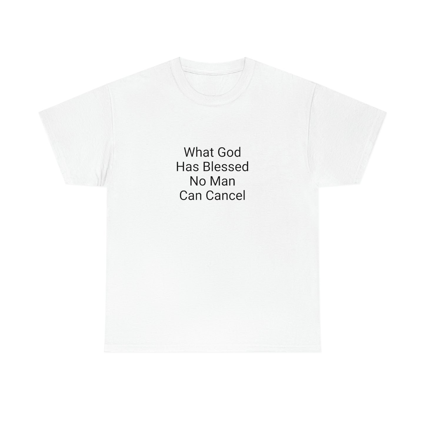 Unisex Heavy Cotton Tee