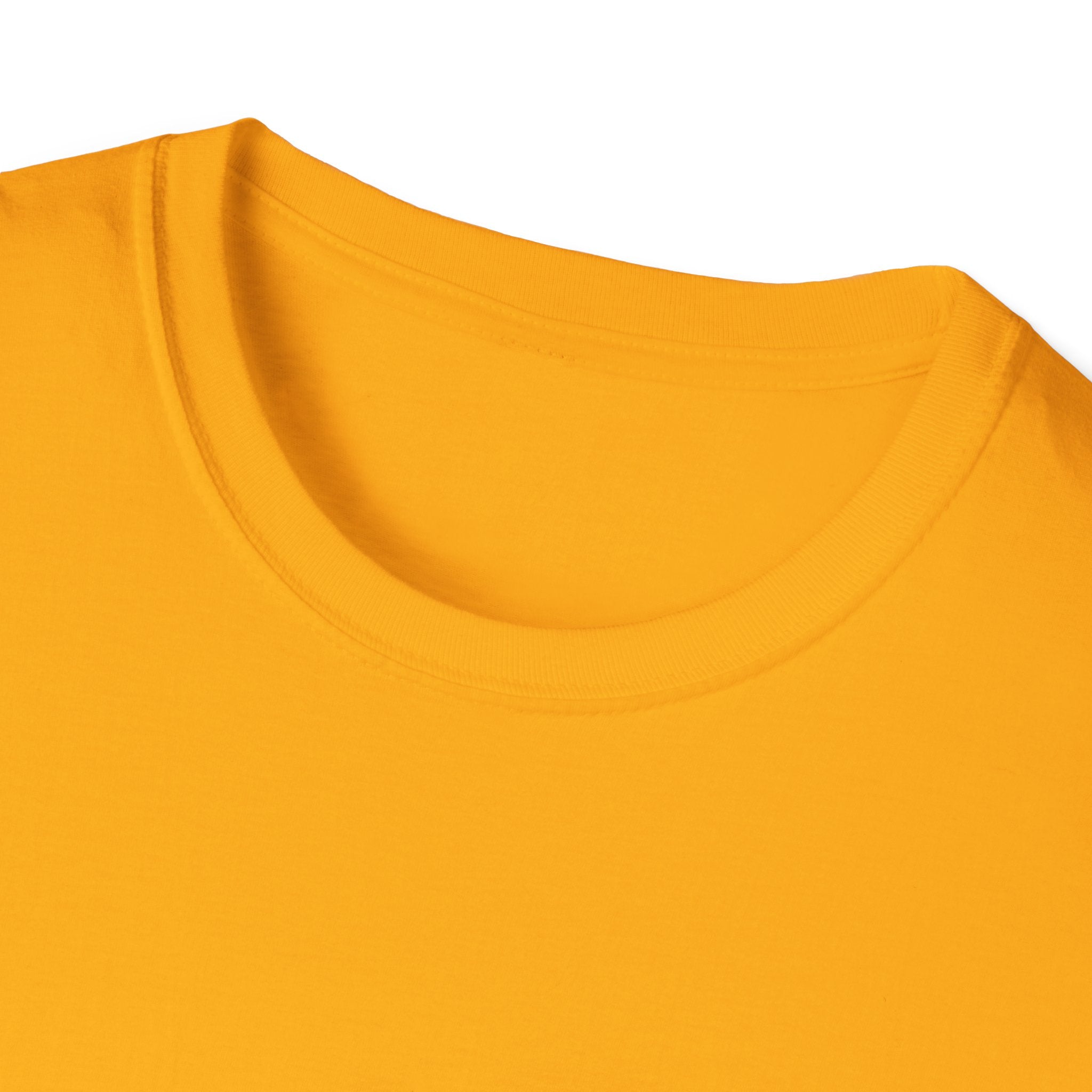 "Enemies = Elevation" Unisex Softstyle T-Shirt