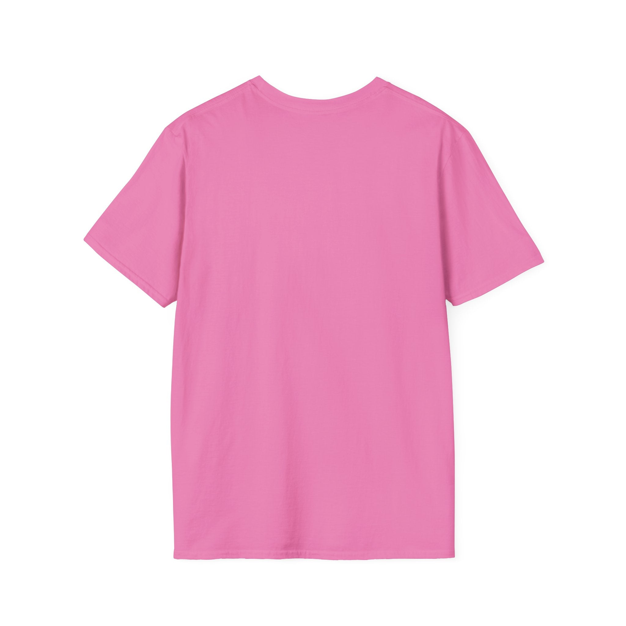 "Enemies = Elevation" Unisex Softstyle T-Shirt
