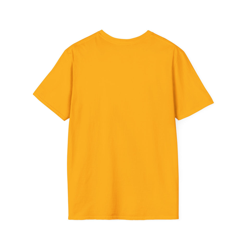 "Enemies = Elevation" Unisex Softstyle T-Shirt