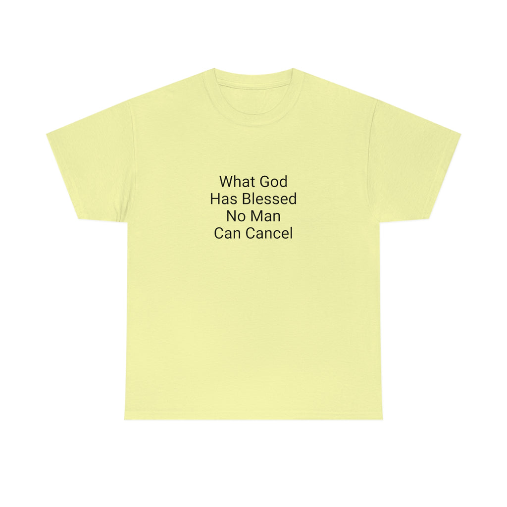 Unisex Heavy Cotton Tee